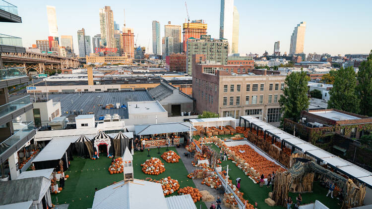 Cityside Pumpkin Patch at The Summer Club rooftop