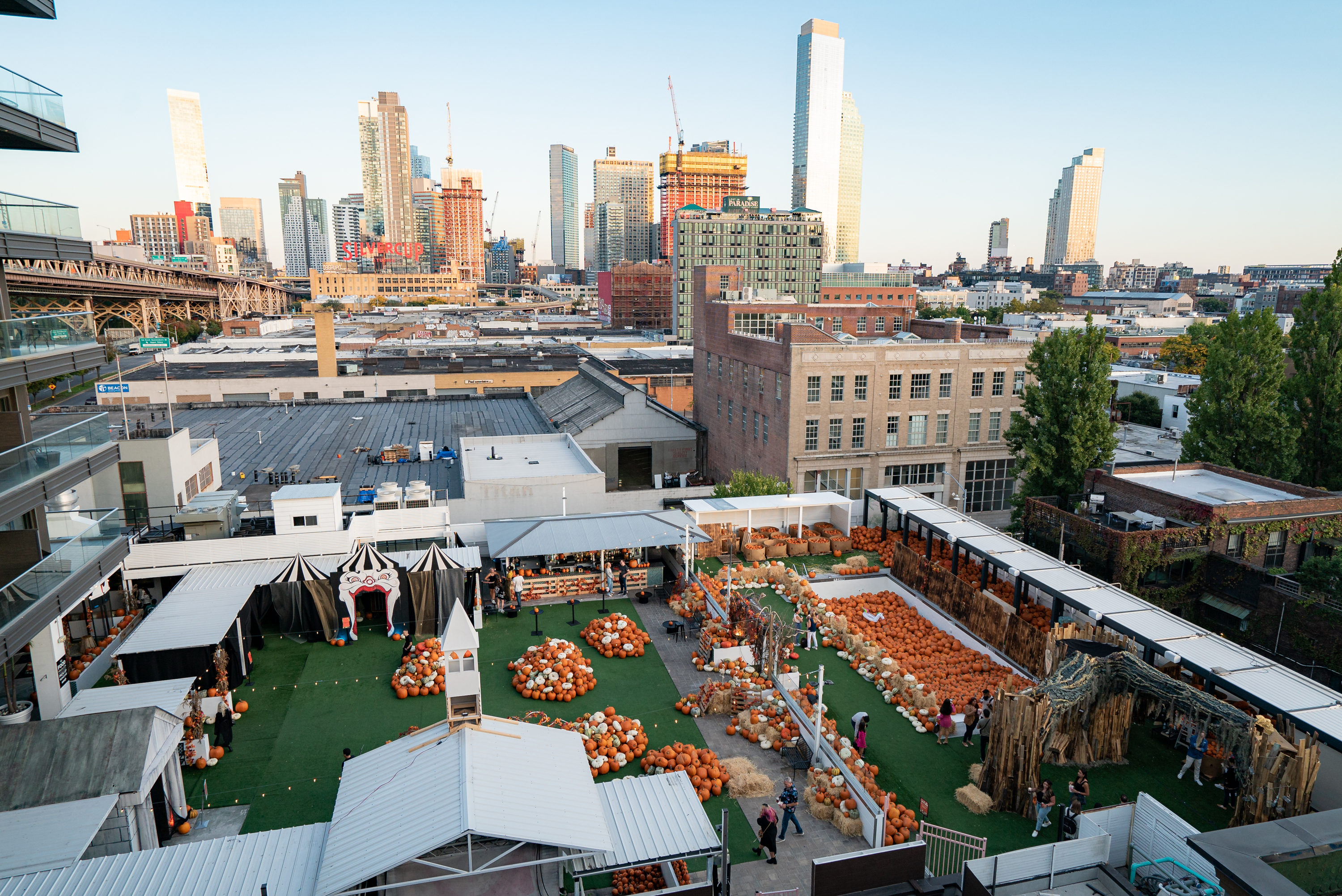 Run around 10,000 pumpkins at this massive rooftop patch in Long Island City