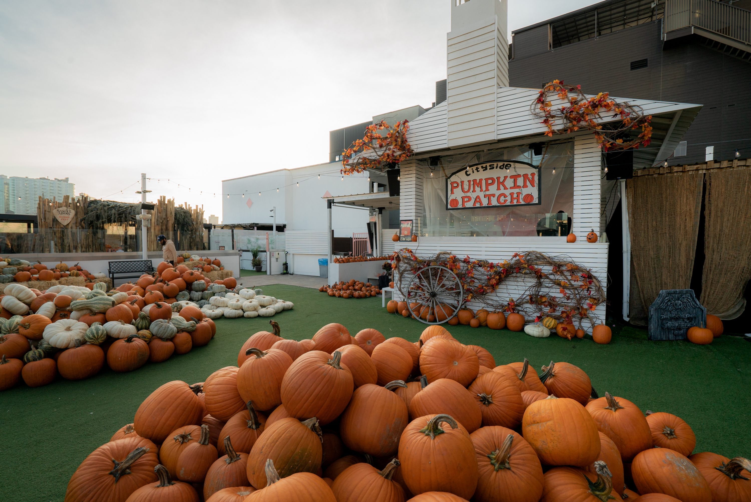 Cityside pumpkin patch