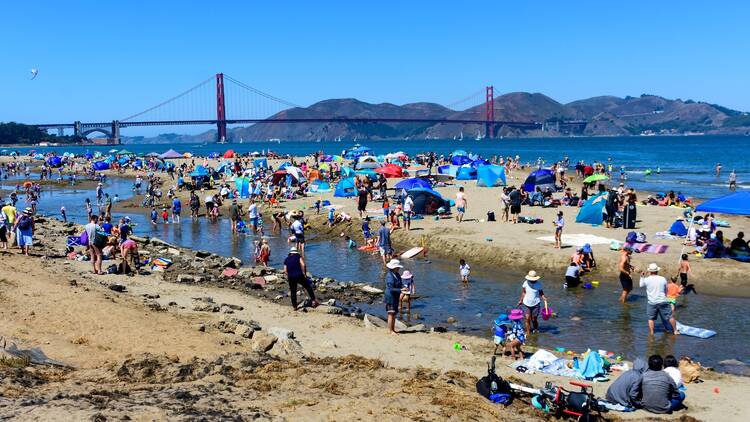 Crissy Field Beach in San Francisco