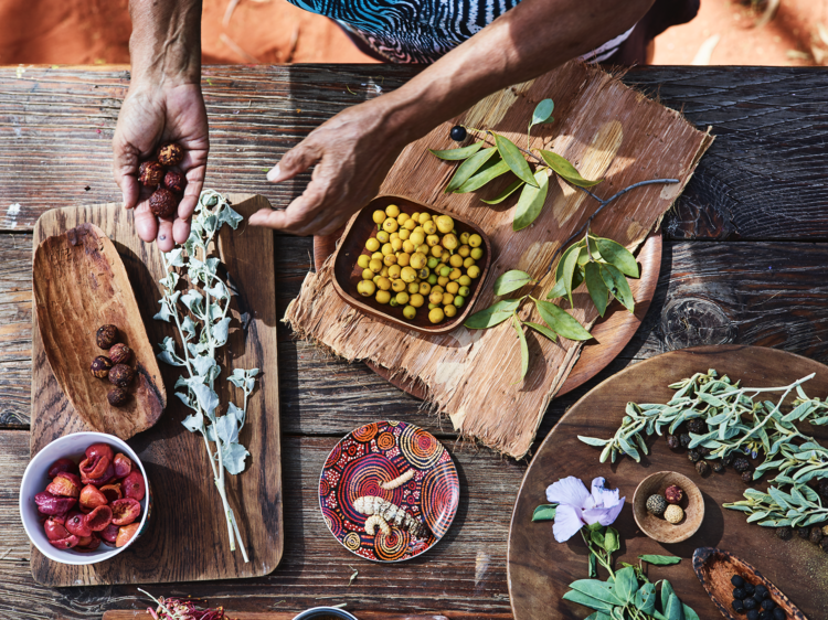 Feast of fresh bush food