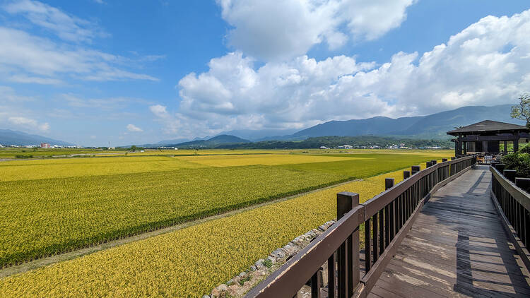 大觀亭：站高望遠俯瞰稻浪