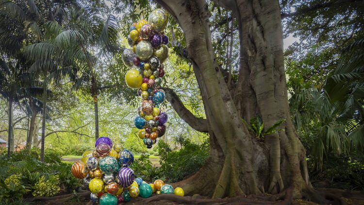 Glass ball sculpture hanging from tree