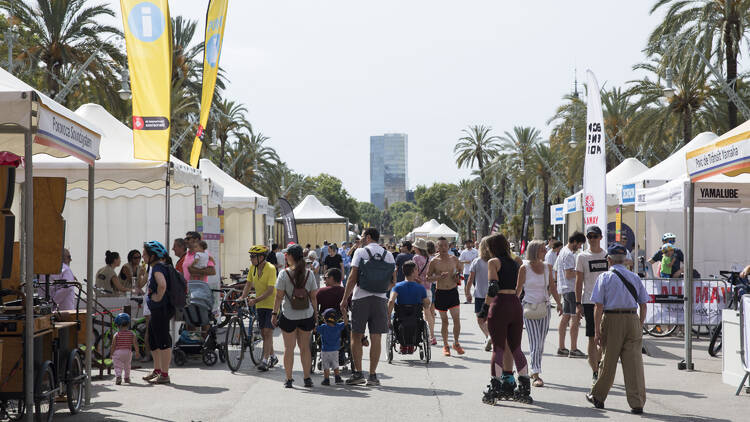 Festa de la bicicleta