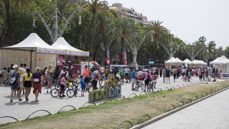 Festa de la bicicleta