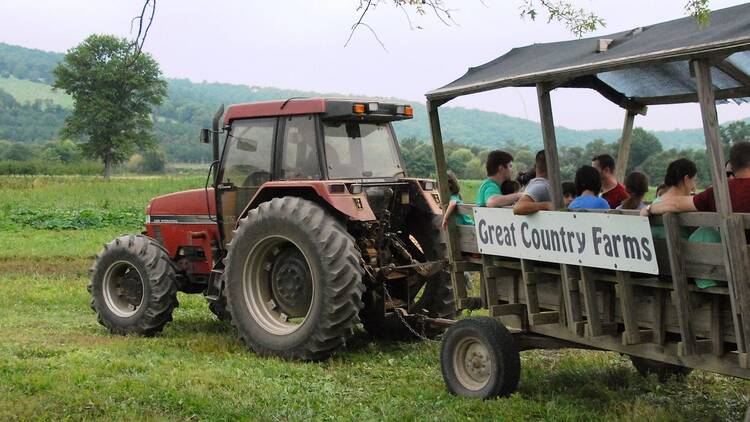 Great Country Farms