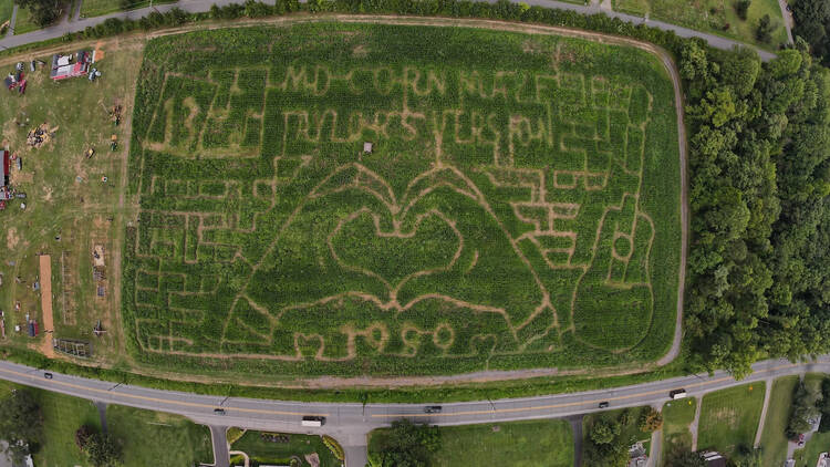 The Maryland Corn Maze | Gambrills, MD