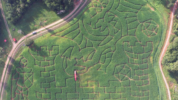 Hall Family Farm | Lancaster, SC