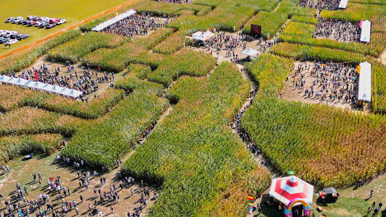 Corn Maze Beer Fest | Columbus, IN