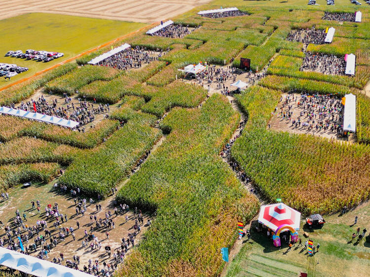 Corn Maze Beer Fest | Columbus, IN