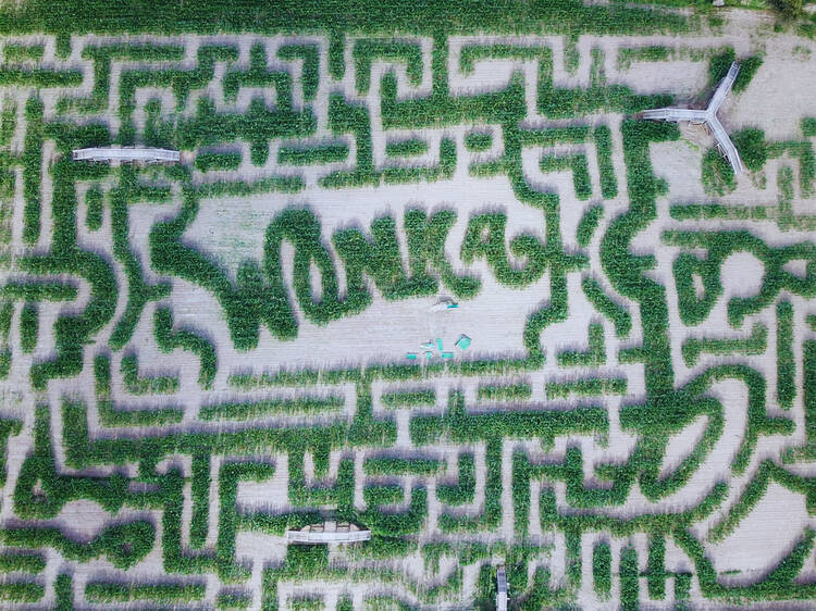 Davis Mega Maze | Sterling, MA