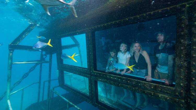 Family in the underwater observatory