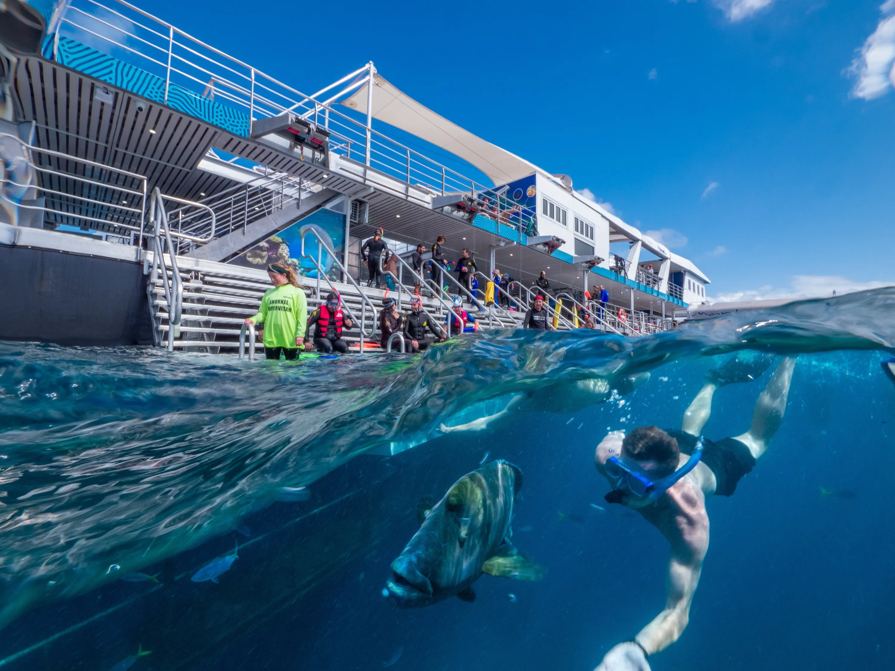 Snorkelers in water next to pontoon