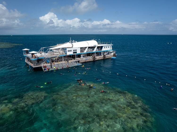 Go snorkelling in the Great Barrier Reef, QLD Go snorkelling in the Great Barrier Reef, QLD