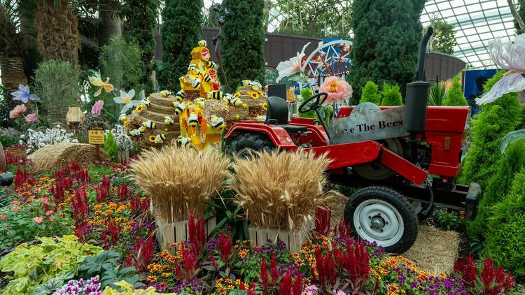 Carnival of flowers