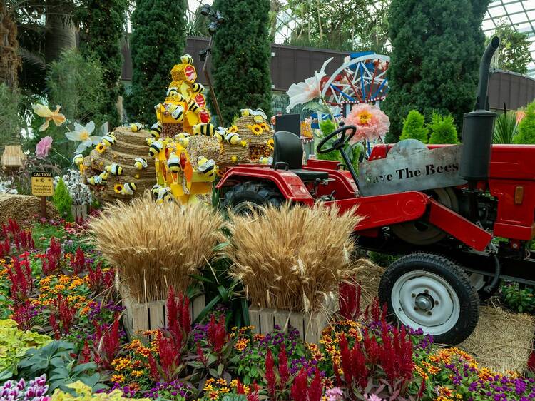 Carnival of Flowers