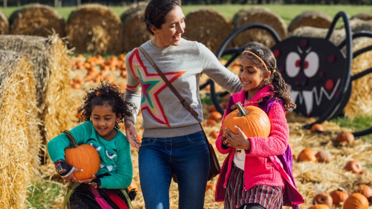 Pick your pumpkin at Hobbledown Heath for £5