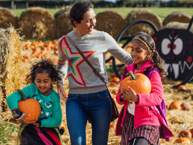 Pick your pumpkin at Hobbledown Heath for £5