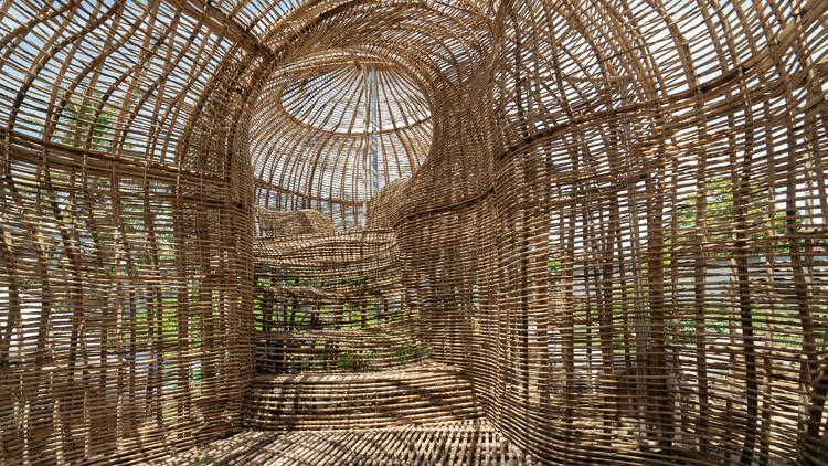 Rattan Eco Sprawl: Manifesting the Forest by Zen Teh