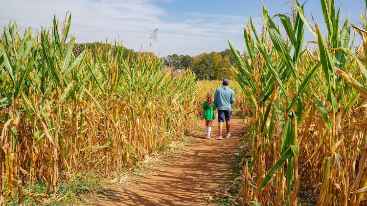 Liberty Ridge Farm | Schaghticoke, NY