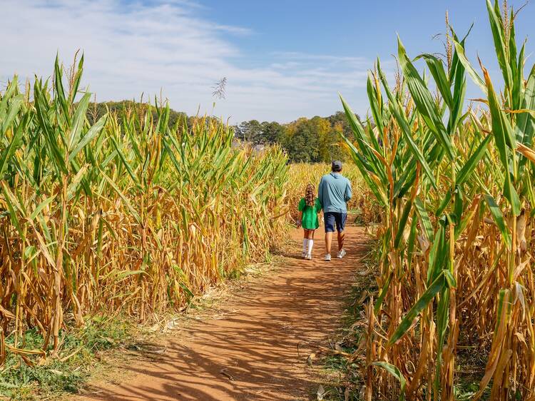 Liberty Ridge Farm | Schaghticoke, NY