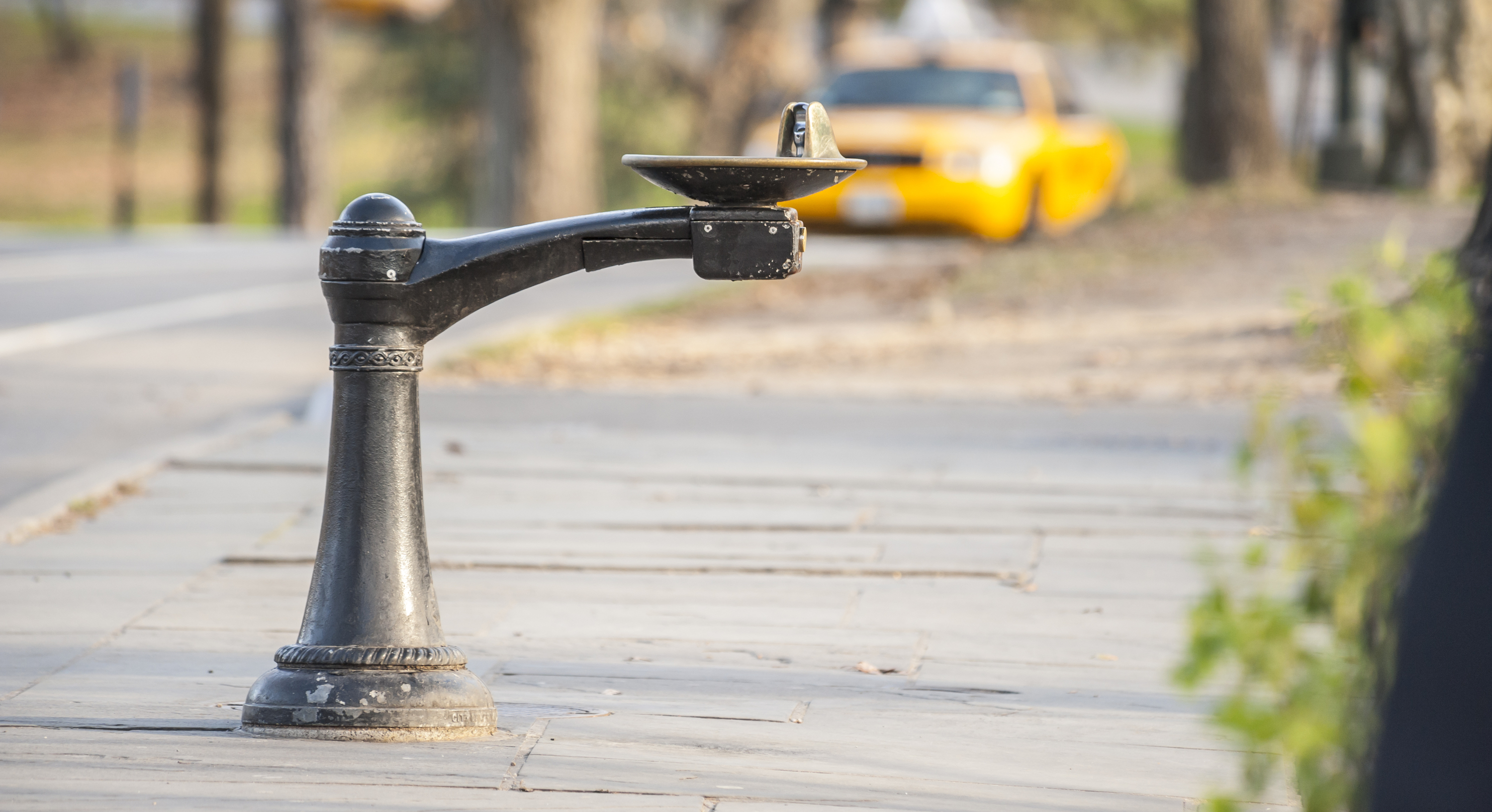 Yes, NYC tap water might actually taste different this week