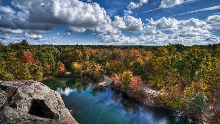 Freetown-Fall River State Forest