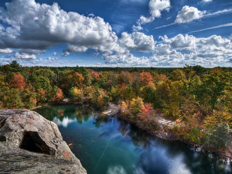 Freetown-Fall River State Forest