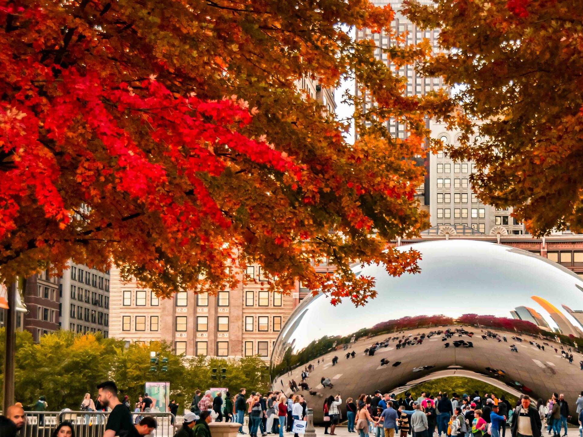 50 Best Things to Do in Chicago According to Locals in 2025