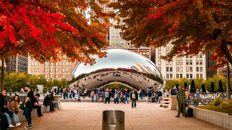 the bean in chicago