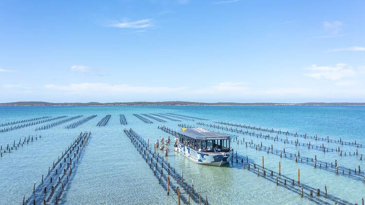 Oyster farm with boat