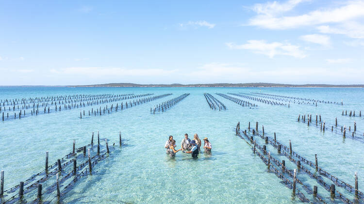 Oyster farm tour