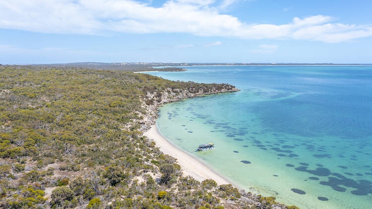 Aerial shot of oyster farm