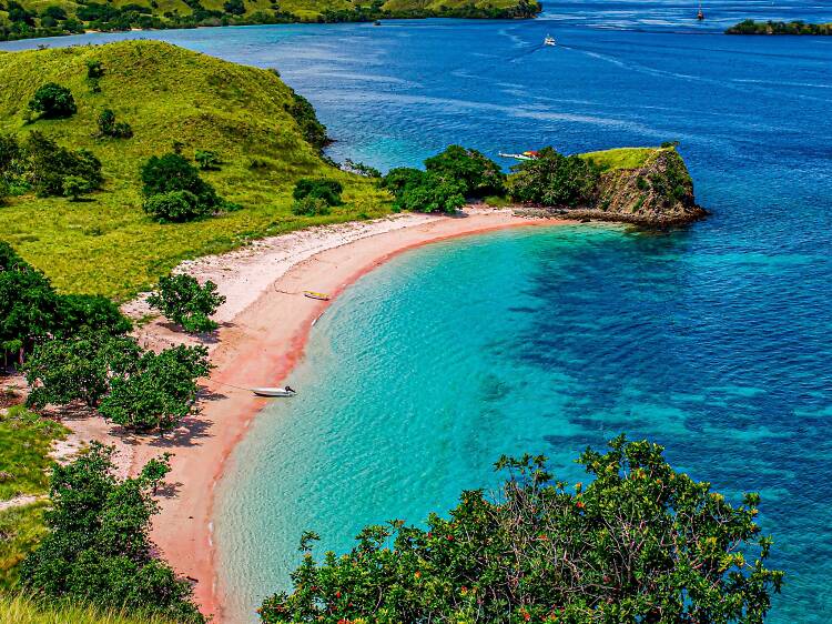 Pink Beach Komodo