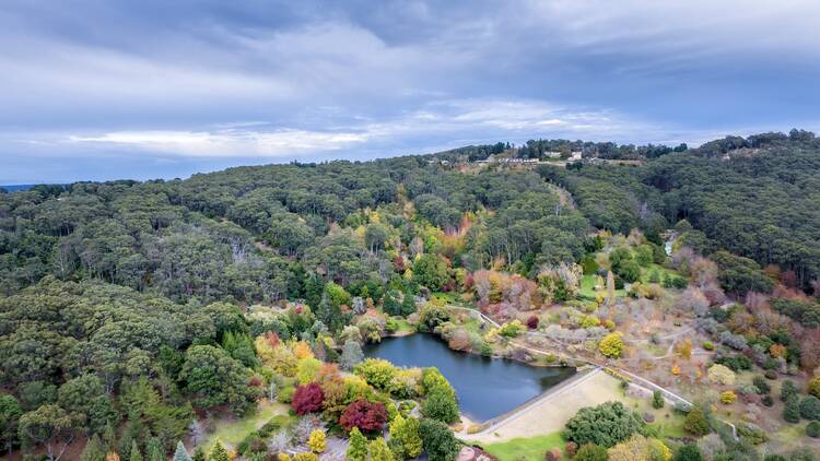 Aerial view of garden with lake