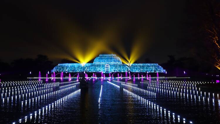 Christmas at Kew