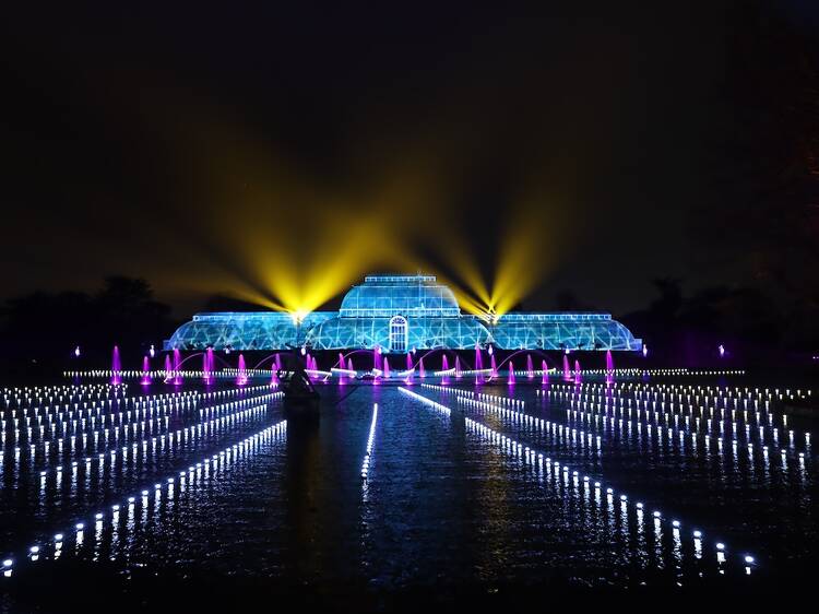 Christmas at Kew