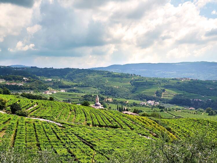 Vinos marinados con piedra caliza