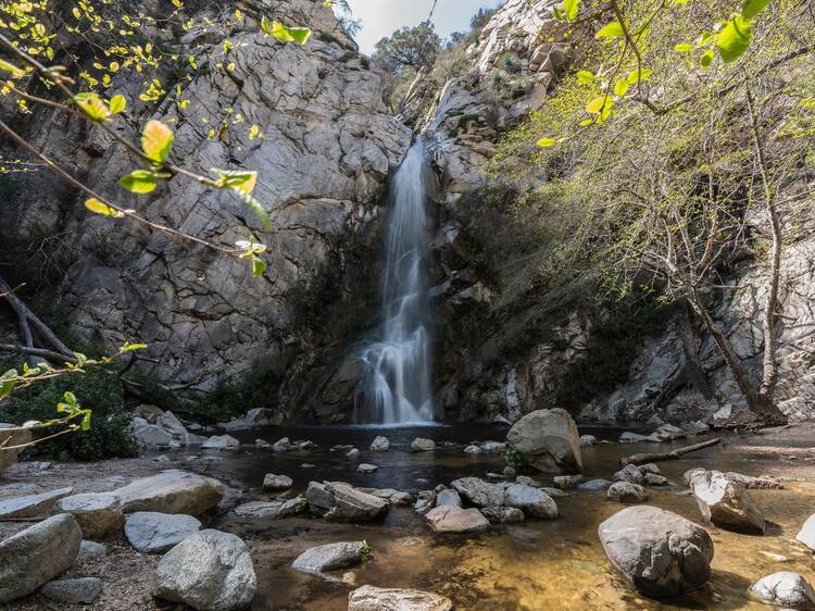 Sturtevant Falls