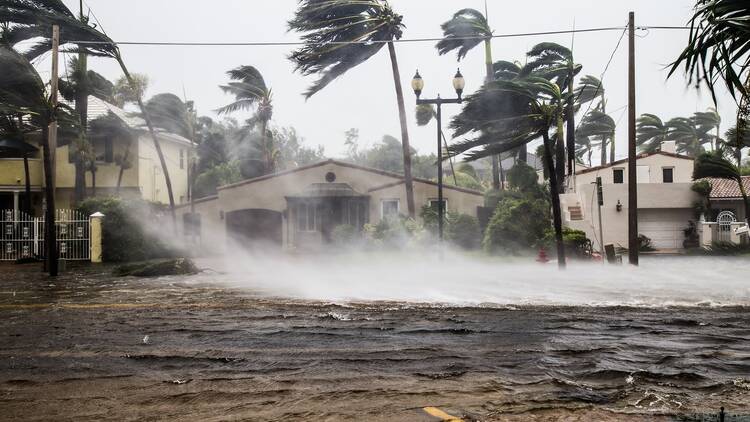 Hurricane Irma