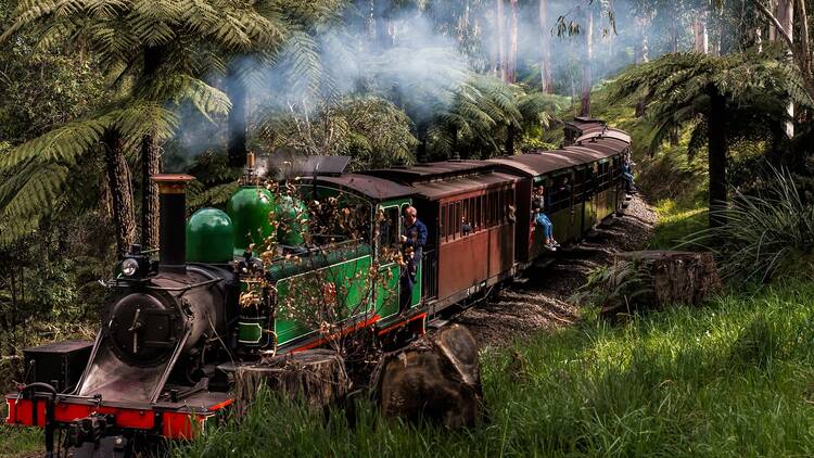 Puffing Billy chugging through the forest.