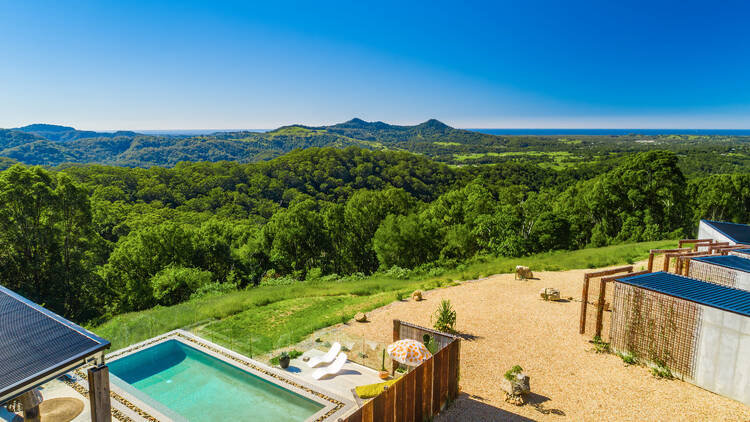 Pool overlooking rainforest