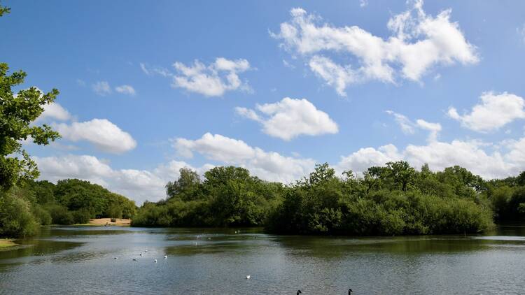 Leyton Flats, otherwise known as Hollow Pond