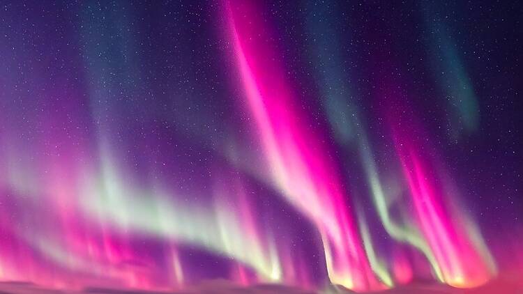 Northern lights in the night sky