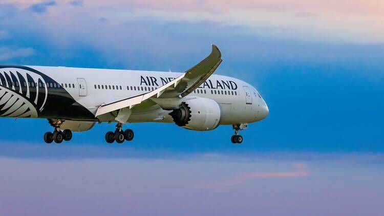 Air New Zealand flight