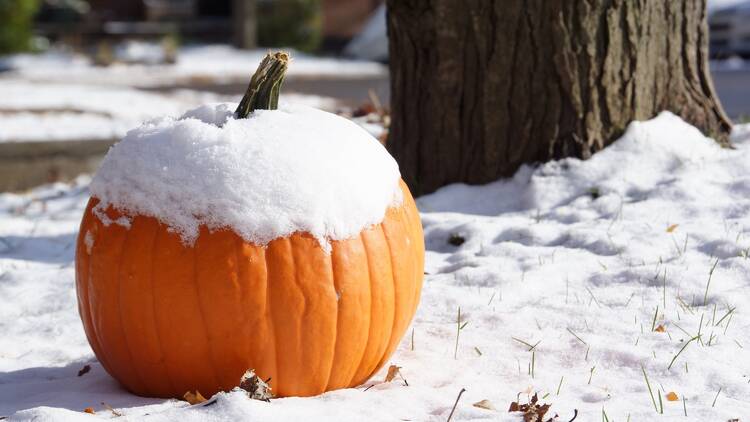 Fall snow