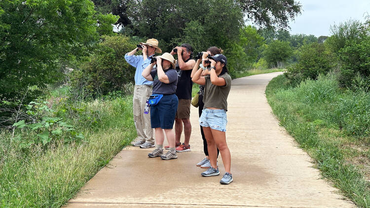 Artist-Led Bird Walk with Mark Menjívar