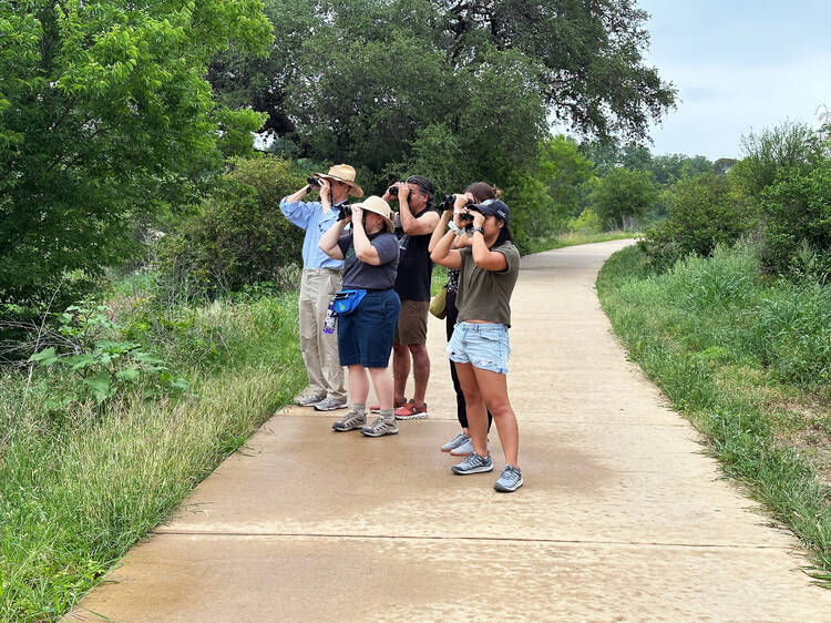 Artist-Led Bird Walk with Mark Menjívar