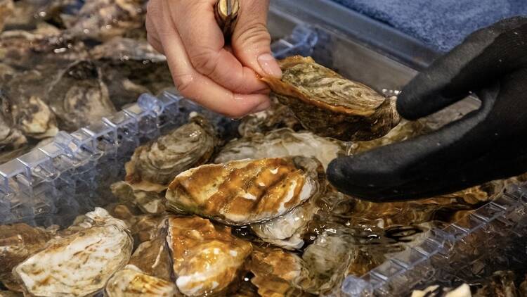 Oyster bar.