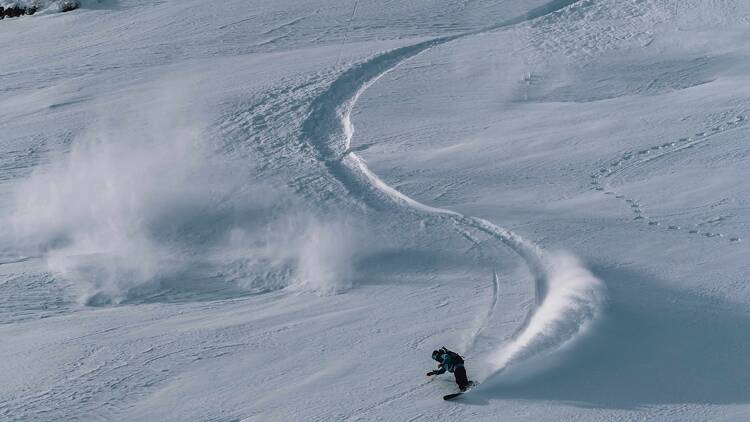 Niseko Powder Experience